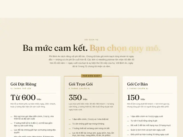 Giữa trang website demo Bình An Wedding