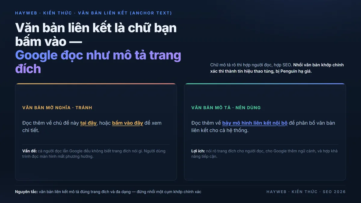 Minh họa văn bản liên kết trên nền navy — so sánh chữ mờ nghĩa như bấm vào đây với chữ mô tả nói rõ trang đích, kèm cảnh báo nhồi văn bản khớp chính xác bị Penguin hạ giá. HAYWEB Kiến thức, phong cách dashboard navy