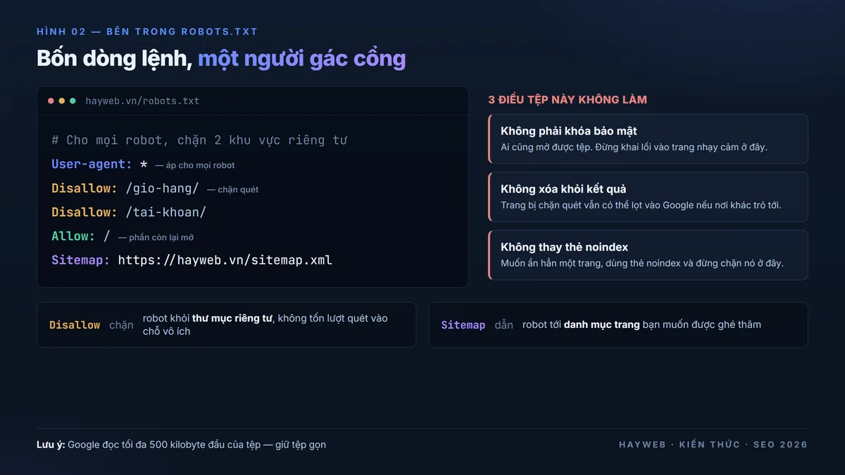 Bảng thông tin nền xanh đậm mổ xẻ một tệp robots.txt — bốn dòng lệnh User-agent, Disallow, Allow và Sitemap được tô màu, kèm cột bên phải liệt kê ba điều robots.txt không làm: không phải khóa bảo mật, không xóa khỏi kết quả, không thay thẻ noindex