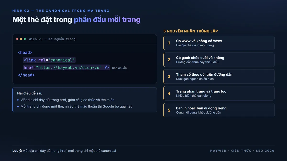 Bảng thông tin nền xanh đậm minh họa thẻ canonical trong mã trang — khối mã hiển thị thẻ link rel canonical href được tô sáng đặt trong phần head, kèm cột bên phải đánh số năm nguyên nhân trùng lặp: có www và không www, gạch chéo cuối, tham số theo dõi, trang phân trang và trang lọc, bản in riêng