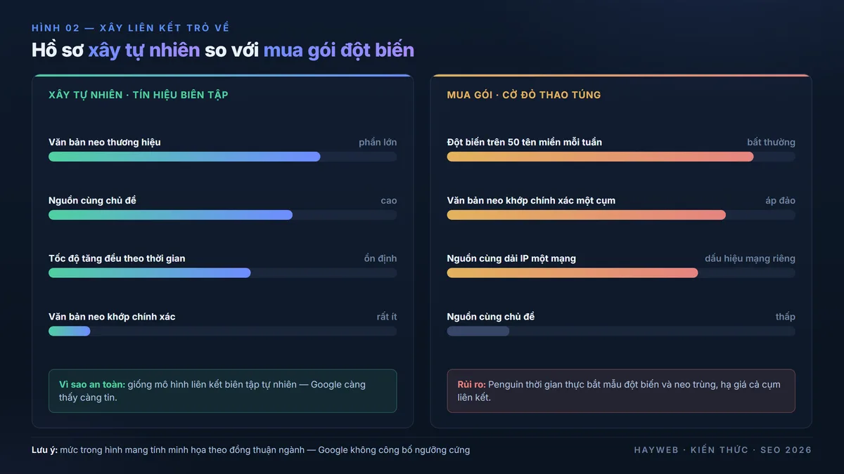 So sánh hai hồ sơ liên kết trên nền xanh đậm — bên trái hồ sơ xây tự nhiên với văn bản neo thương hiệu chiếm phần lớn, nguồn cùng chủ đề cao, tốc độ tăng đều, rất ít khớp chính xác; bên phải hồ sơ mua gói với đột biến rất nhiều tên miền dồn dập trong thời gian ngắn, văn bản neo khớp chính xác áp đảo, nguồn cùng một dải IP, kèm cảnh báo Penguin